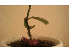 ����������� 028.jpg