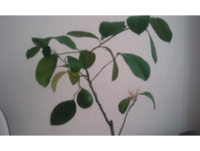 ����������� 040.jpg