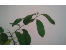 ����������� 044.jpg