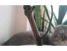 ����������� 046.jpg