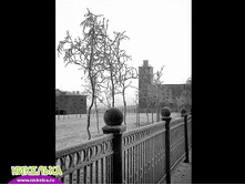 ������� ������.jpg