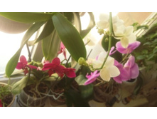 ����������� 009.jpg