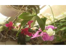 ����������� 011.jpg