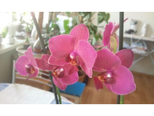 ����������� 005.jpg