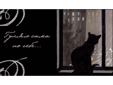 ����� ���� �� ����