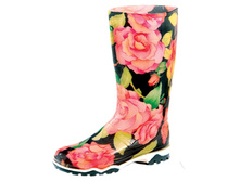 ������ 2701, 650+%