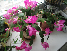 ��������� �������