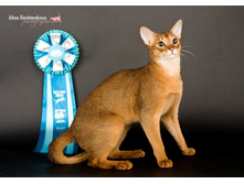 DSC_2122 - �����.jpg