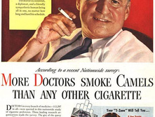 ������ �������� ����� Camel.jpg