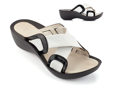 ������ 1569, 1200 �..jpg