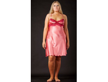 ������ ����