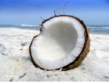 �����-������ 97,1