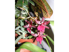 ����������