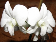 ����������-���.