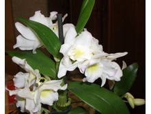 ���������� ������