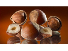 ������ ���� 97,1