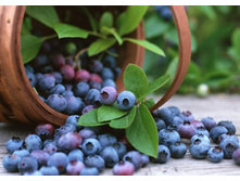 ������� 97,1