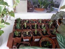 ��������� ������