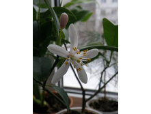 ������ ��������� ���������� 3