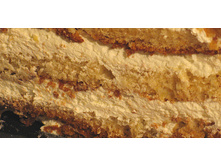 ������ �� ������� ������.jpeg