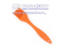 �������� �����������