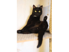 ����������� 131.jpg