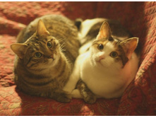 ���������-��������