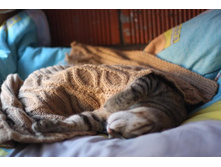 ����������� 635.jpg