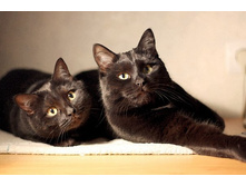 ���� � ���