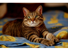 ���� ������ :))