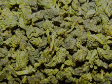 �������� ���� ����� 119+%