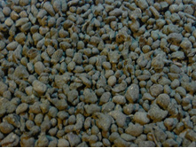 �������� ���� ������� 154+%