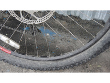 ����� �����(