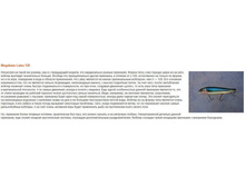 Megabass Lates 120.jpg