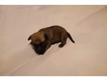 ����� �� ���811.JPG