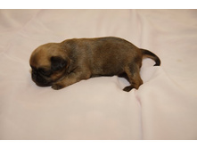 I���� ���������14.JPG