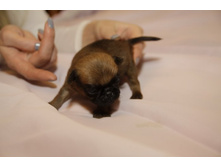 ����� �� ���6.JPG