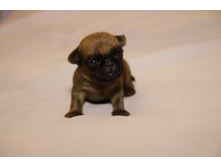 ����� �� ���8.JPG