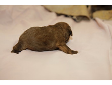 ������� �������� ������.JPG