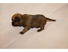 ����� �� ���850.JPG