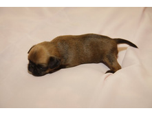 ���� ����������75.JPG