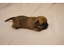 ���� ����������80.JPG