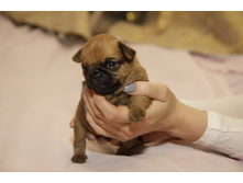 ���� ����������476.JPG