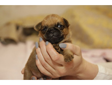 ���� ����������478.JPG