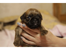 �������� �������� � ���2.JPG