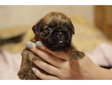 �������� �������� � ���.JPG