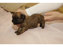 ������� �������� ���� ����������.JPG