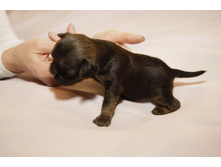 ������� �����.JPG