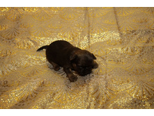 �������� ��������.JPG