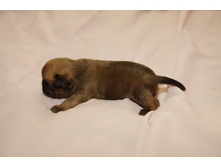 ������� ������ ������.JPG